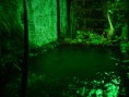 /album/galeria-de-fotos-pagina-inicial/laguinho-jardim-jpg/